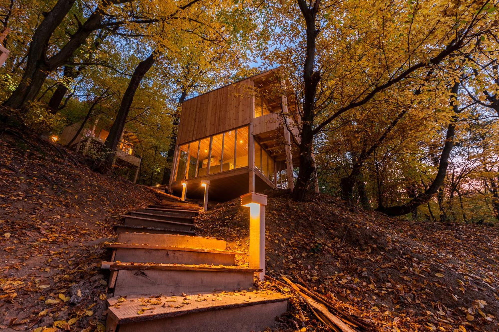 Treehouses ノスヴァイ エクステリア 写真